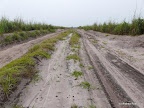 Straße nach Angola