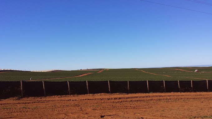 More farm fields near El Rosario 20131226_094258.jpg