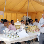cricket3_ 2010_QTS.JPG