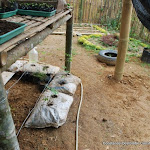 DSC_0719 - Copie.JPG