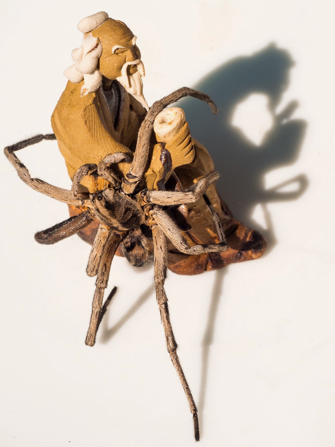 [20140919-0024%255B3%255D.jpg]