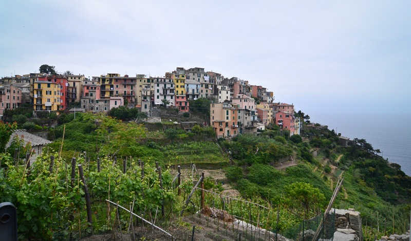 corniglia city corniglia city