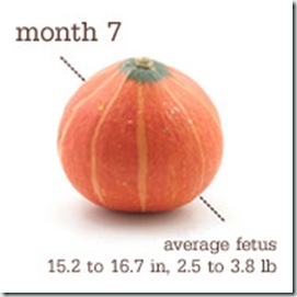 30 weeks