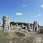 Το απολιθωμένο δάσος Pobiti Kamani