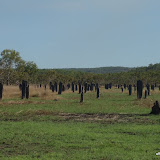 Litchfield NP