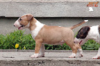 Karmacoma Superstylin' 7 weeks