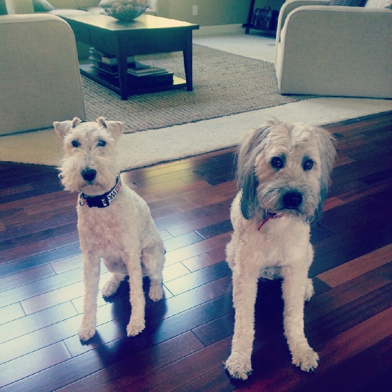 [IMG_20120923_145817%255B3%255D.jpg]