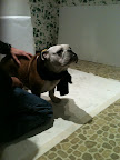 Model taking pre-shoot direction from Master photographer Phibbs.
(See animal details at link below blog post- The Humane Society of NY)