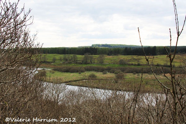 [34-Cree-view%255B2%255D.jpg]