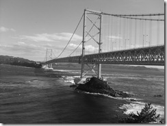 DSCF6494