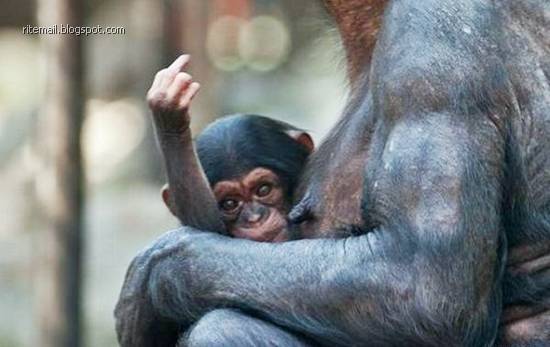 You don't take a photograph, you make it. - Ansel Adams