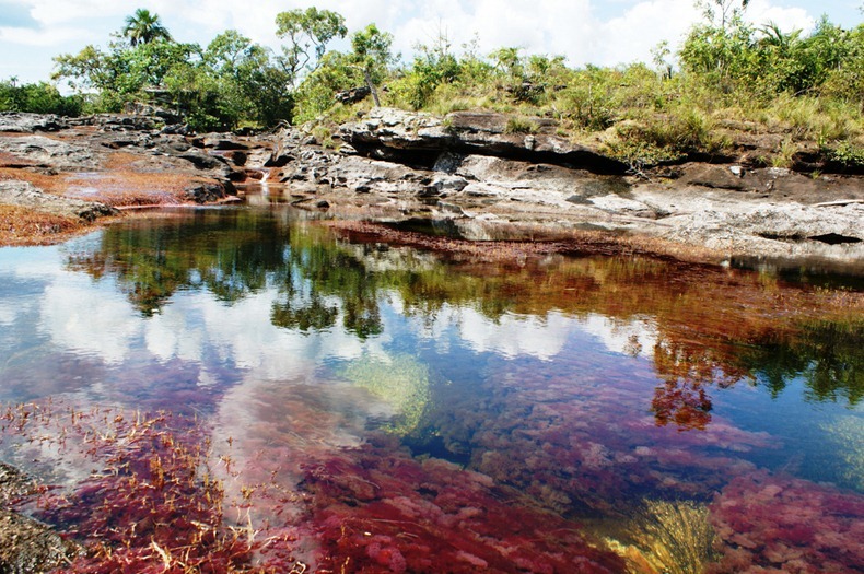  نهر الالوان الخمسة من اجمل انهار العالم : Cano-cristales-7%25255B2%25255D