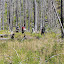 Trudging through a grueling (and dull) 4-mile stretch before entering Marthas Basin