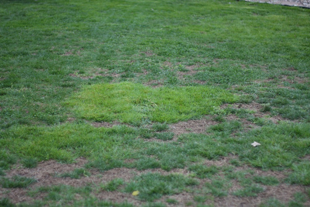 [spring%25202012%25201280126%255B5%255D.jpg]