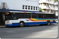 bus bus