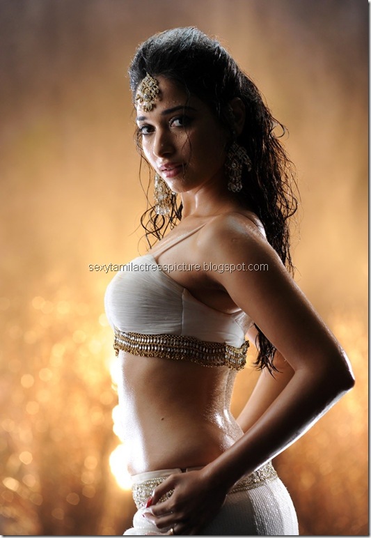 Tamanna_Extremely_hot_in_Badrinath_03