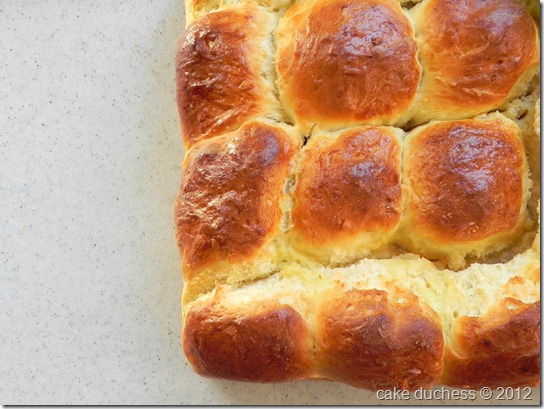 no-knead-dinner-rolls-1