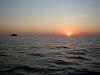 SDC11030 Phi Phi Adası Resimleri Fotoğrafları