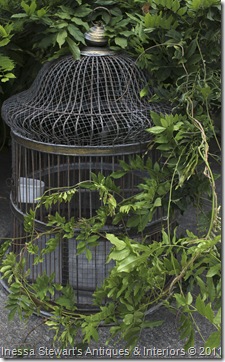 Antique Parrot Cage in the Garden