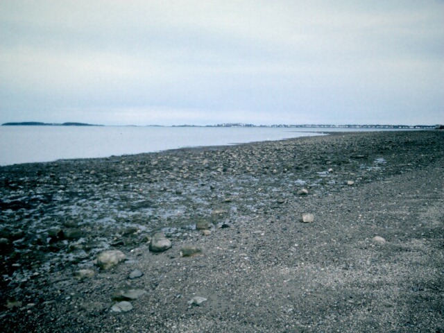 [IMG_0008%255B2%255D.jpg]