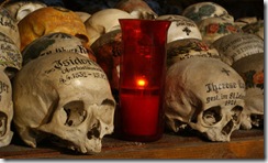 Photos-of-skulls-by-Paul--007