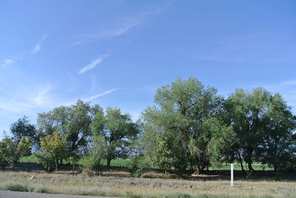 [DSC_5127%255B4%255D.jpg]