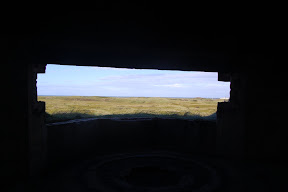 DSC_0487.JPG