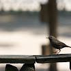 20080713_IMG_6241.jpg