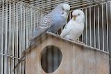 IMG_8641.JPG