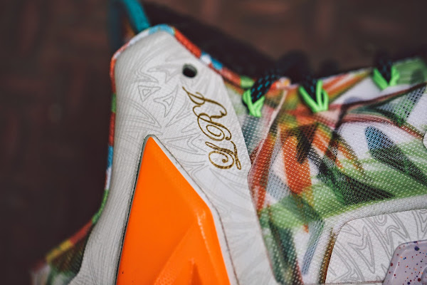A New Batch of What the LeBron Pics That Drops on Saturday 913