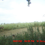 nichols sept 408.JPG