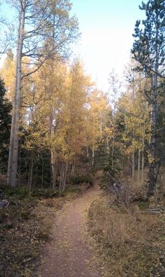 IMAG0380.jpg IMAG0380