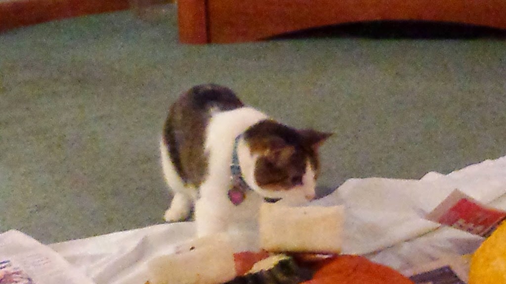 [20141021_210951%255B3%255D.jpg]