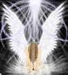 Flying Angel With Wings