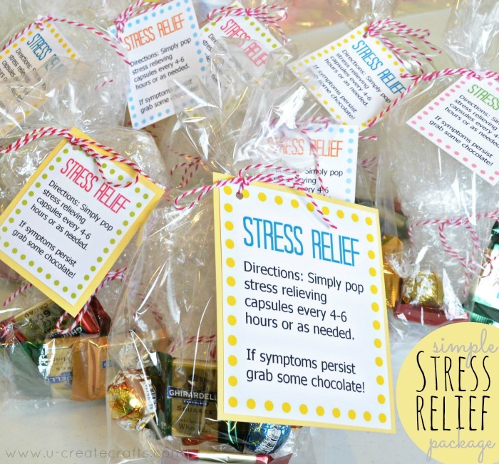 [Stress-Relief-Gift-Bags%255B4%255D.jpg]