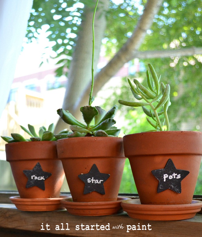 [chalkboard_paint_on_succulent_plant_markers%255B3%255D.jpg]