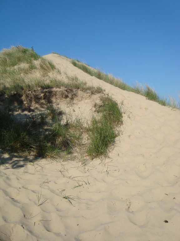[DSC007114.jpg]