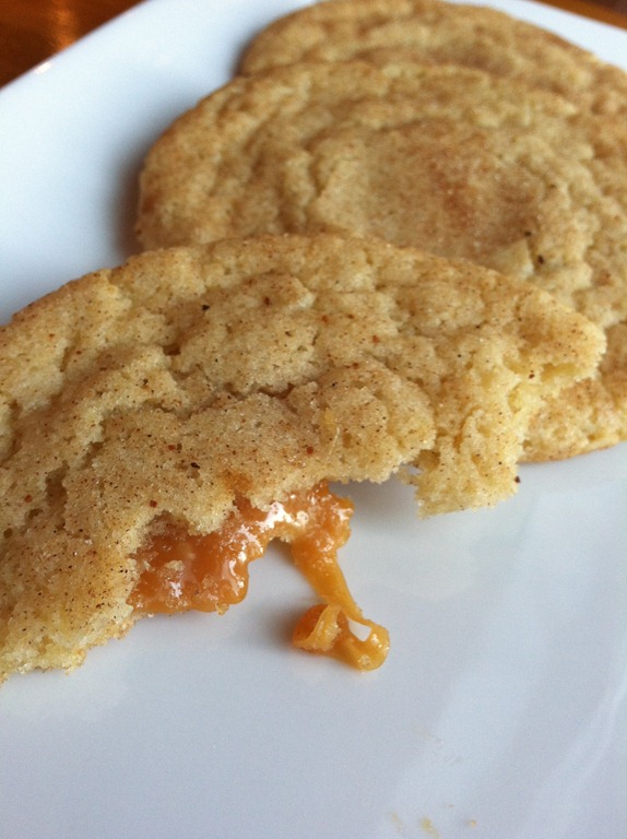 [snickerdoodle%2520064%255B4%255D.jpg]