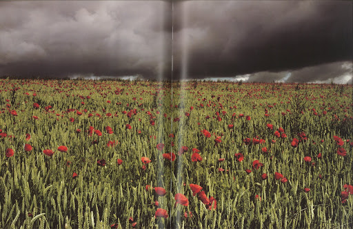 This photograph captures proof of nature's brilliant and mysterious power in epic proportions.