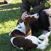 IMG_8390.jpg