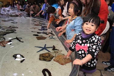 IMG_6545 IMG_6545