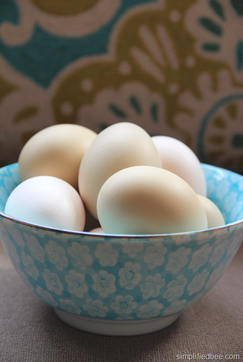 [easter_egg_chickens_blue%255B8%255D.png]