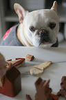 Franny, stay calm.  You're forgetting that I'm quite good with puzzles.