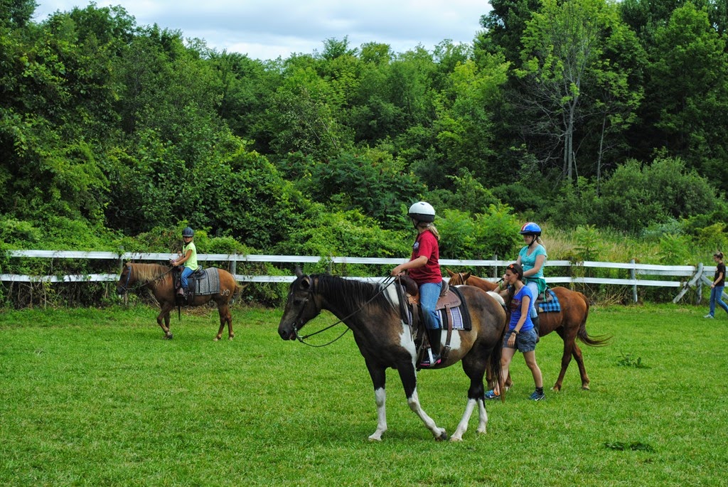 [DSC_0523%255B3%255D.jpg]