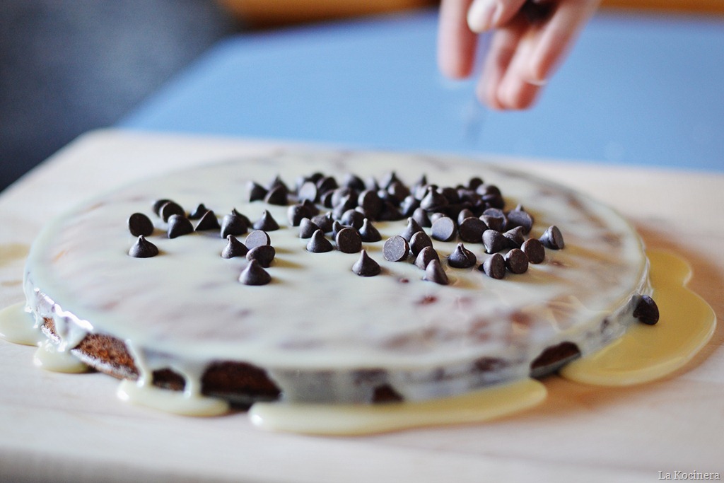 [choc-chip-add8.jpg]