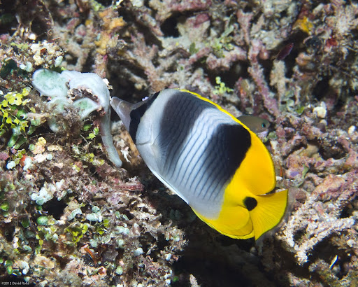P7014125