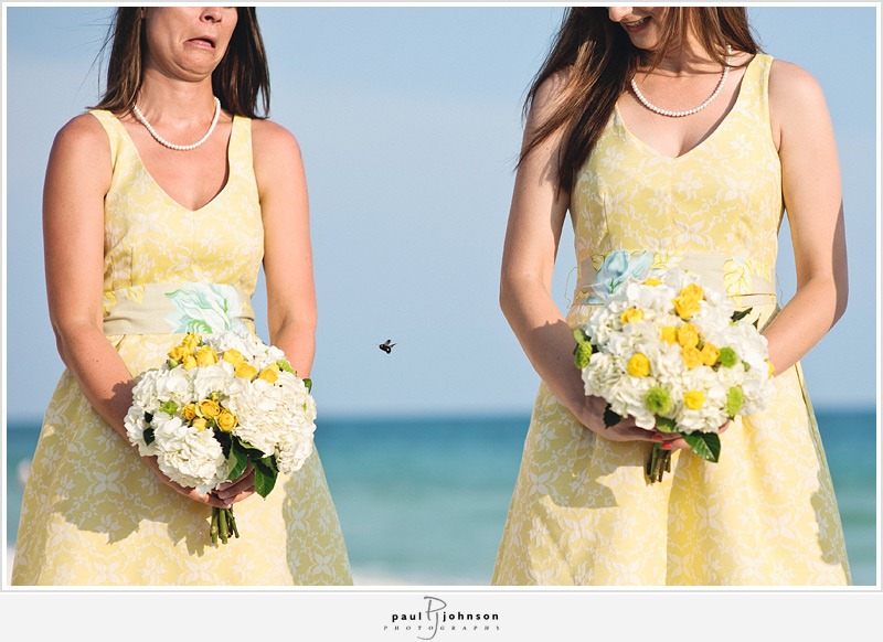 [vesta5-paul-johnson5.jpg]