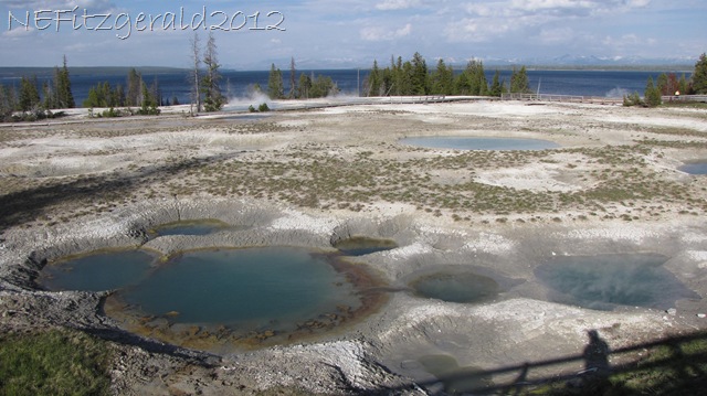 [IMG_1577West%2520ThumbGeyser%2520Basin%255B9%255D.jpg]