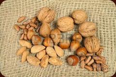 3660035-walnuts-hazelnuts-pine-nuts-and-almonds-natural-food