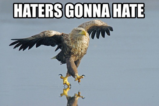 [haters_gonna_hate_eagle-142651%255B4%255D.jpg]